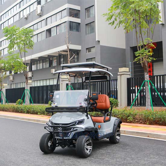 2 seat electric golf cart