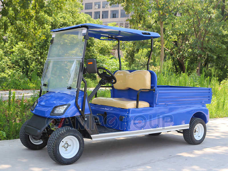 2 seat golf cart with cargo box