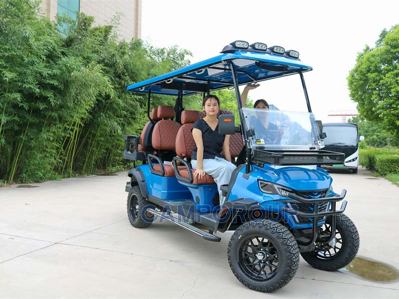 6 seater golf cart blue color